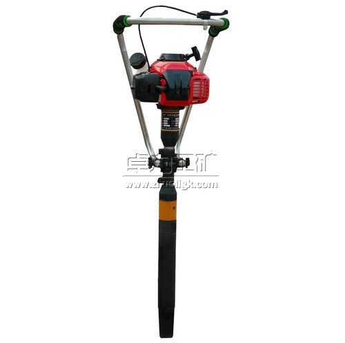 NSD-1�������(n��i)ȼ�v�̙C(j��)