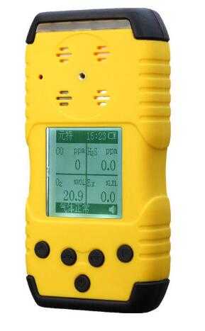 便攜式多種氣體檢測(cè)儀