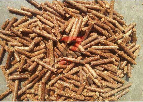 ����ȼ��